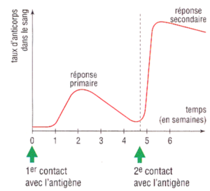 L’IMMUNITÉ ET LA RÉPONSE IMMUNITAIR