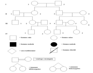  L’hérédité humaine