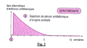 Les défenses du système immunitaire