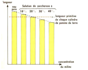 LES ECHANGES CELLULAIRES