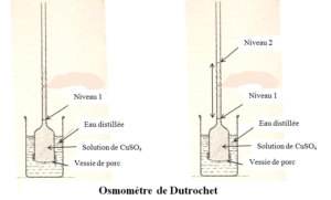 LES ECHANGES CELLULAIRES