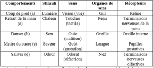 FONCTIONNEMENT DU SYSTEME NERVEUX